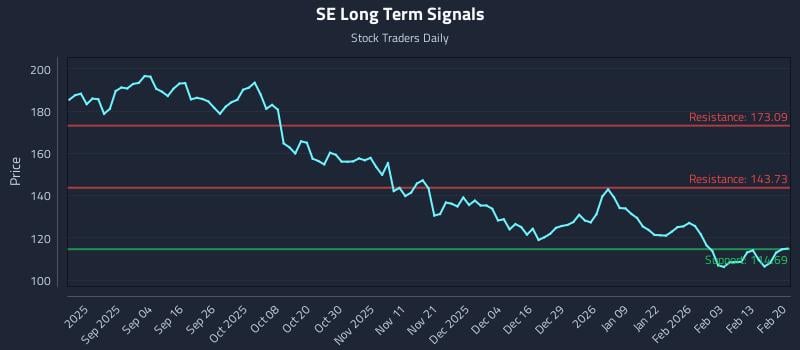SE Long Term Analysis for February 22 2026 SE Long Term Analysis for February 22 2026