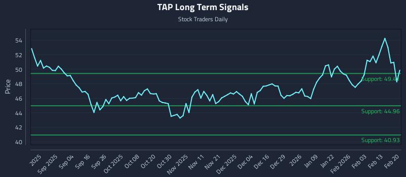 TAP Long Term Analysis for February 22 2026