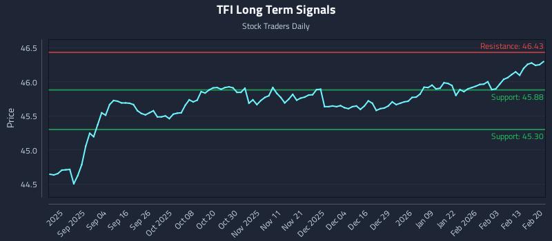TFI Long Term Analysis for February 22 2026