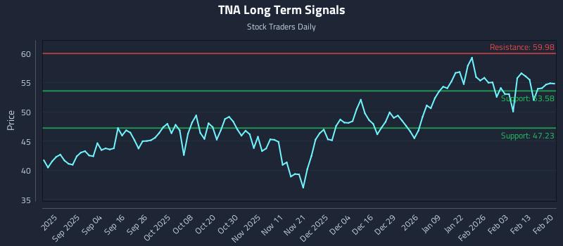TNA Long Term Analysis for February 22 2026