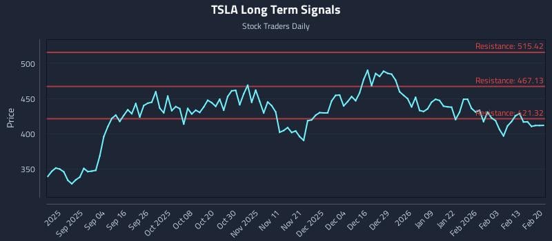 TSLA Long Term Analysis for February 22 2026