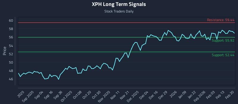 XPH Long Term Analysis for February 22 2026