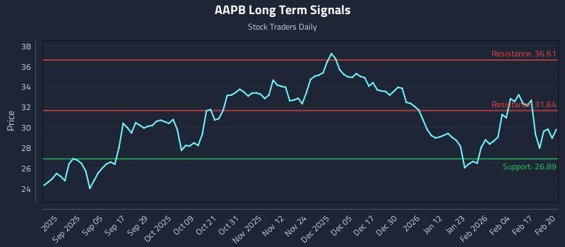 AAPB Long Term Analysis for February 23 2026