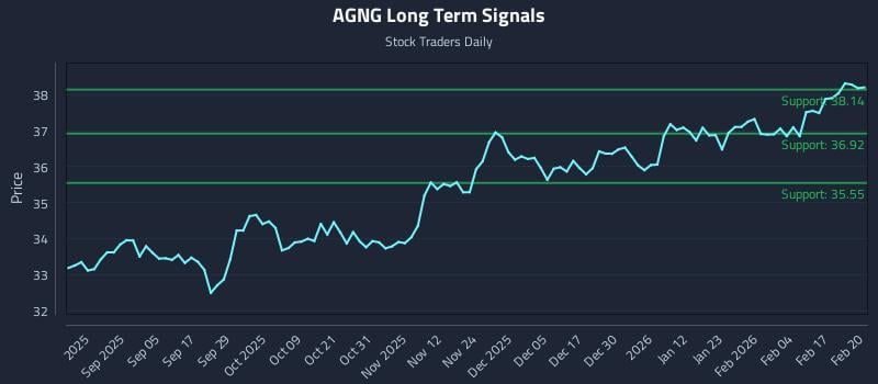 AGNG Long Term Analysis for February 23 2026 AGNG Long Term Analysis for February 23 2026