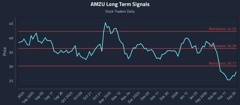 AMZU Long Term Analysis for February 23 2026