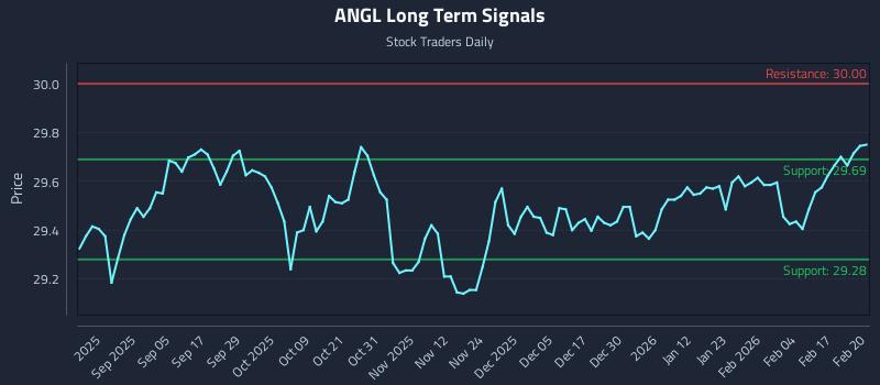 ANGL Long Term Analysis for February 23 2026