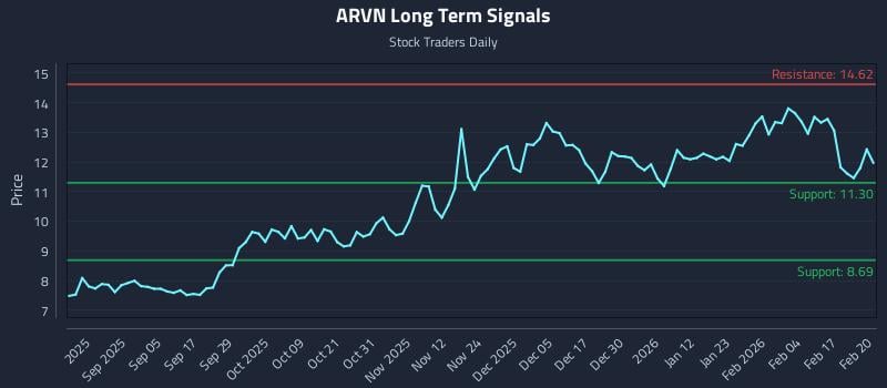 ARVN Long Term Analysis for February 23 2026