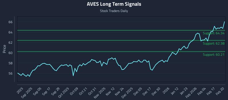 AVES Long Term Analysis for February 23 2026