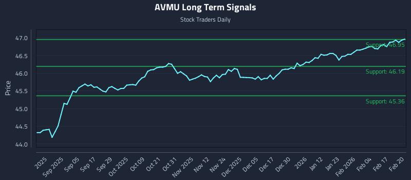 AVMU Long Term Analysis for February 23 2026