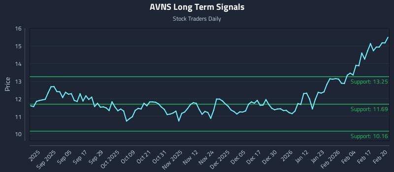AVNS Long Term Analysis for February 23 2026