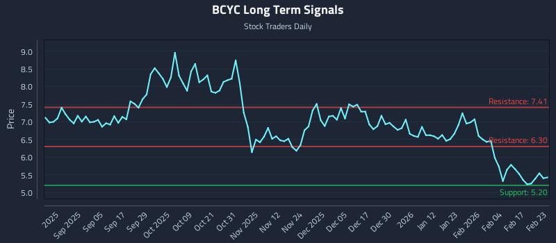 BCYC Long Term Analysis for February 23 2026