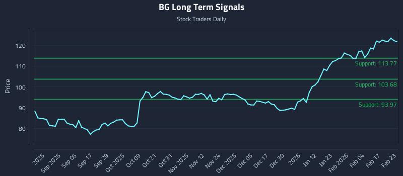 BG Long Term Analysis for February 23 2026