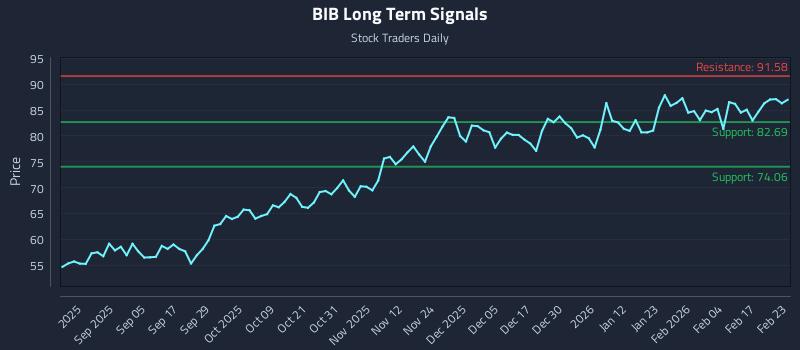 BIB Long Term Analysis for February 23 2026 BIB Long Term Analysis for February 23 2026