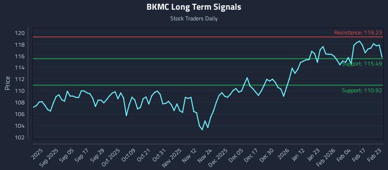 BKMC Long Term Analysis for February 23 2026