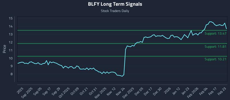 BLFY Long Term Analysis for February 23 2026