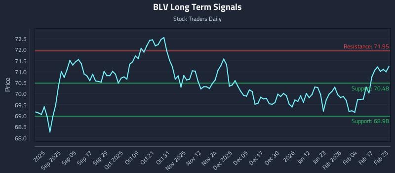 BLV Long Term Analysis for February 23 2026
