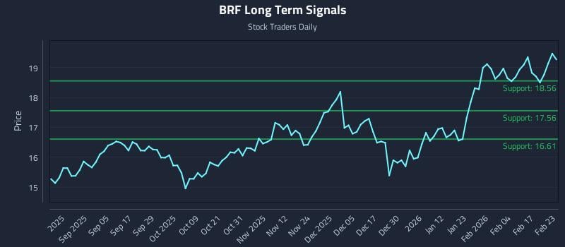 BRF Long Term Analysis for February 23 2026