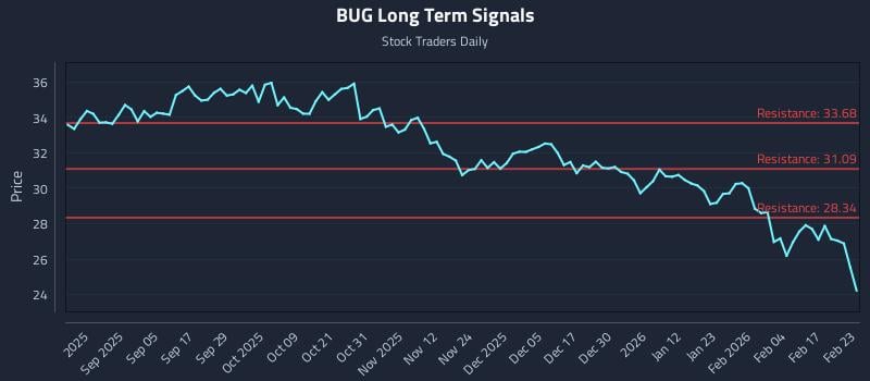 BUG Long Term Analysis for February 23 2026