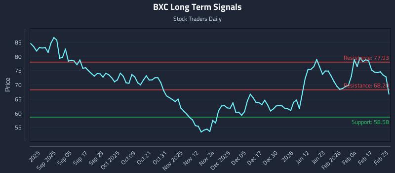BXC Long Term Analysis for February 23 2026
