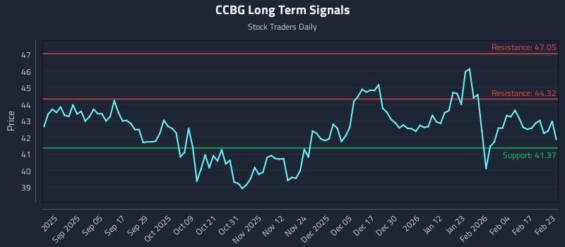 CCBG Long Term Analysis for February 23 2026