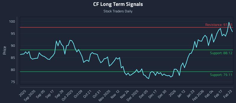 CF Long Term Analysis for February 23 2026