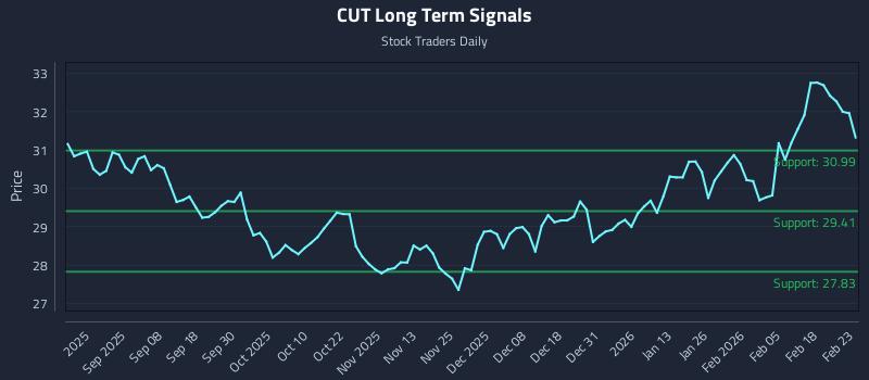 CUT Long Term Analysis for February 24 2026