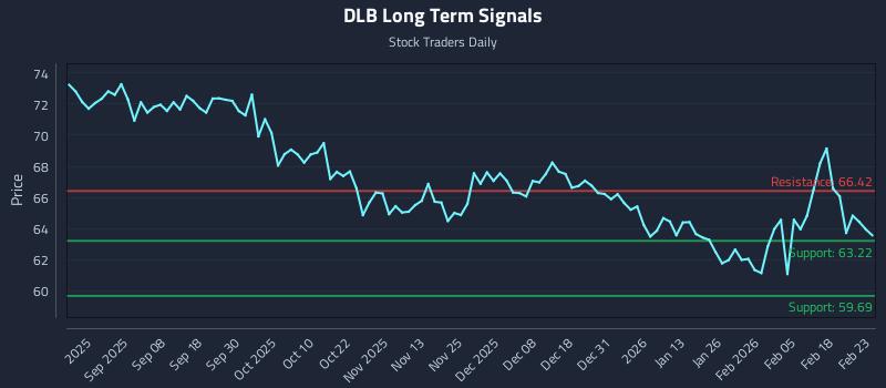 DLB Long Term Analysis for February 24 2026