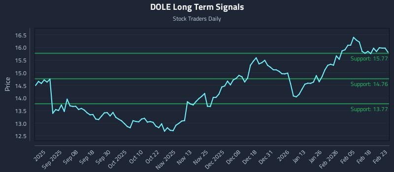 DOLE Long Term Analysis for February 24 2026