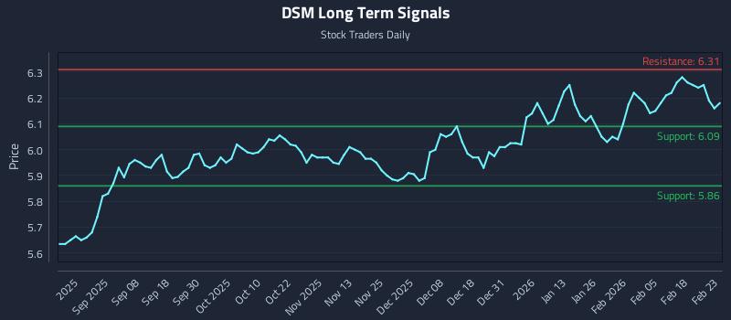 DSM Long Term Analysis for February 24 2026