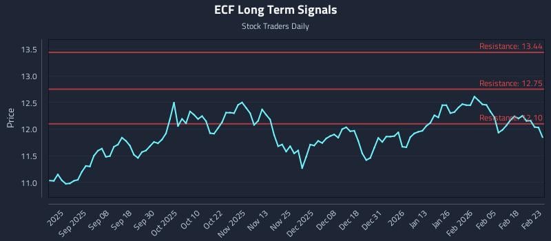 ECF Long Term Analysis for February 24 2026 ECF Long Term Analysis for February 24 2026