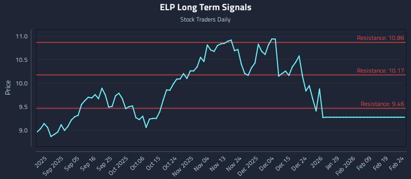ELP Long Term Analysis for February 24 2026