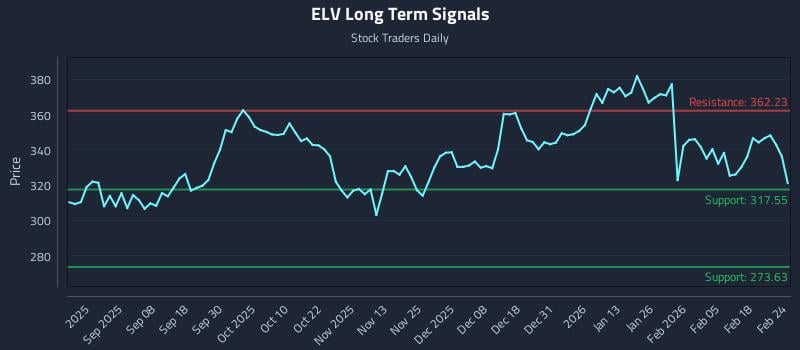 ELV Long Term Analysis for February 24 2026