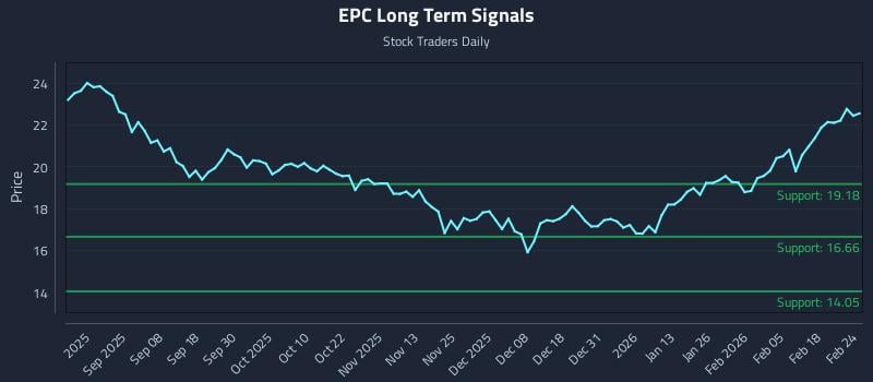 EPC Long Term Analysis for February 24 2026