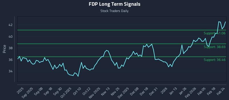 FDP Long Term Analysis for February 24 2026