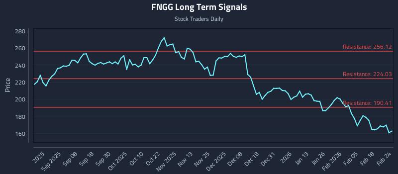 FNGG Long Term Analysis for February 24 2026