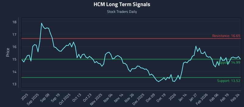 HCM Long Term Analysis for February 25 2026