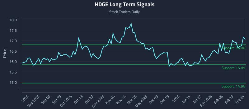 HDGE Long Term Analysis for February 25 2026