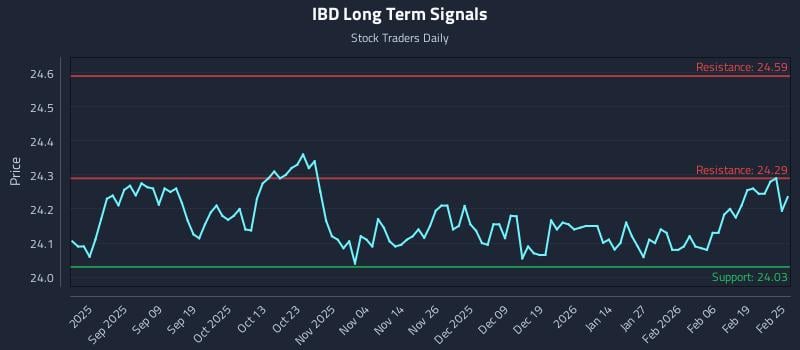 IBD Long Term Analysis for February 25 2026 IBD Long Term Analysis for February 25 2026