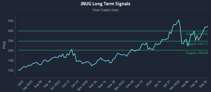JNUG Long Term Analysis for February 25 2026 JNUG Long Term Analysis for February 25 2026