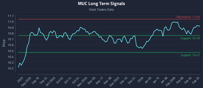 MUC Long Term Analysis for February 26 2026
