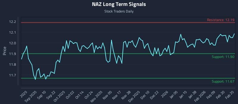 NAZ Long Term Analysis for February 26 2026