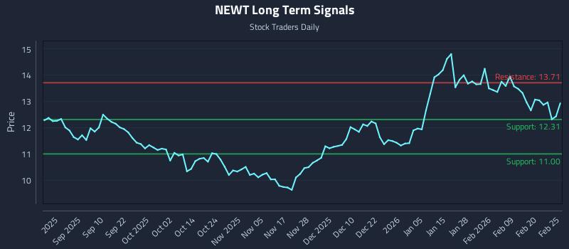NEWT Long Term Analysis for February 26 2026
