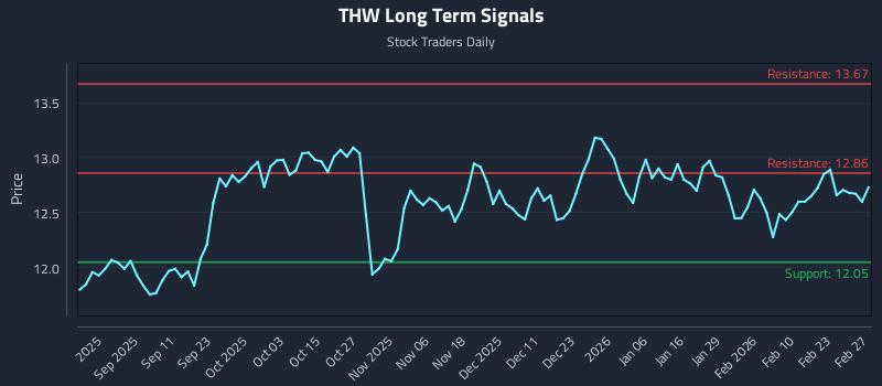 THW Long Term Analysis for February 27 2026