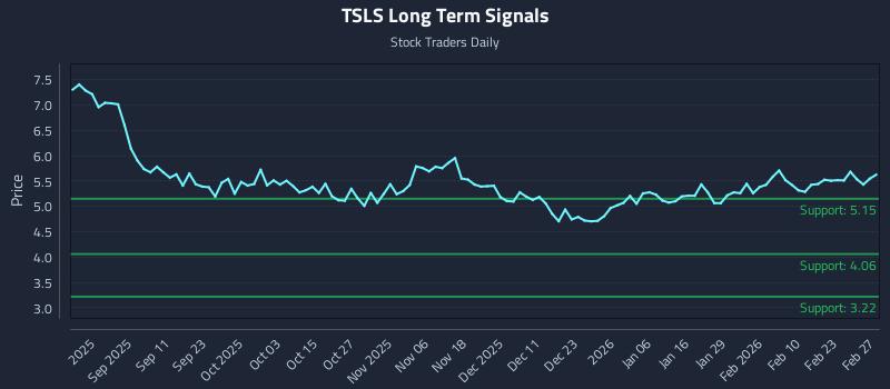 TSLS Long Term Analysis for February 27 2026