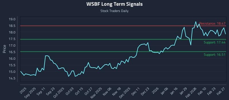 WSBF Long Term Analysis for February 28 2026 WSBF Long Term Analysis for February 28 2026