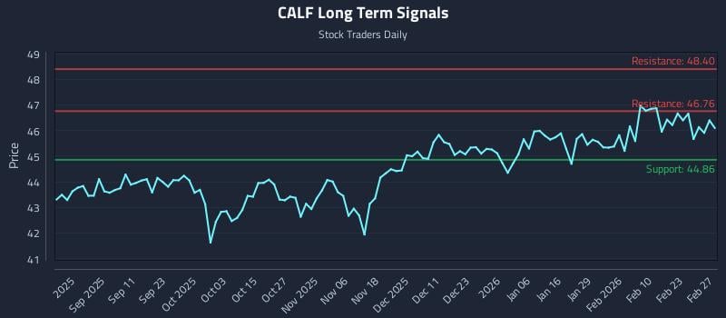 CALF Long Term Analysis for February 28 2026