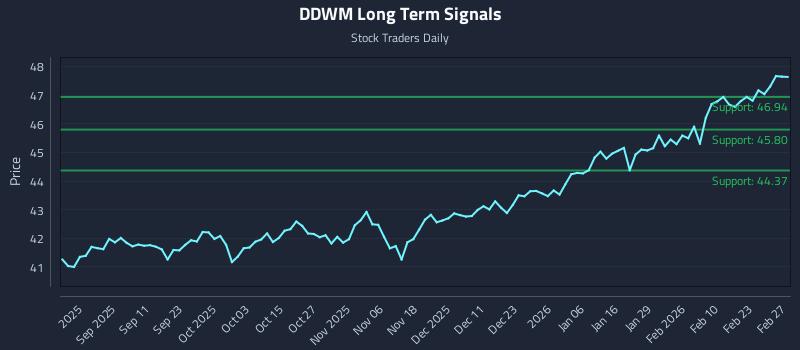 DDWM Long Term Analysis for February 28 2026