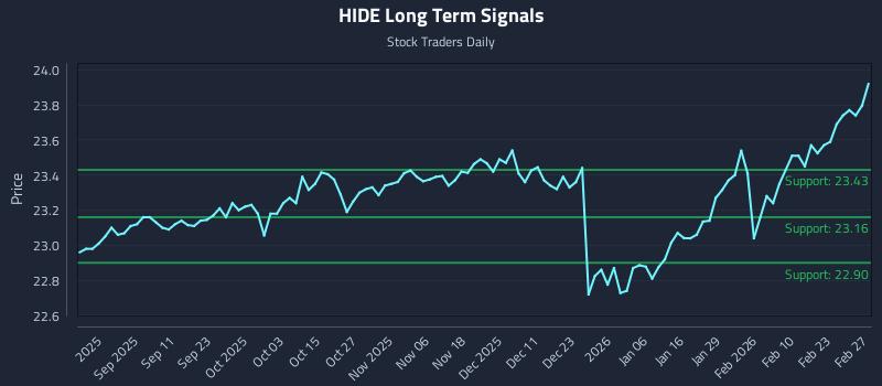 HIDE Long Term Analysis for February 28 2026 HIDE Long Term Analysis for February 28 2026