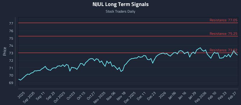 NJUL Long Term Analysis for February 28 2026 NJUL Long Term Analysis for February 28 2026