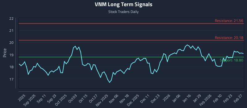 VNM Long Term Analysis for February 28 2026